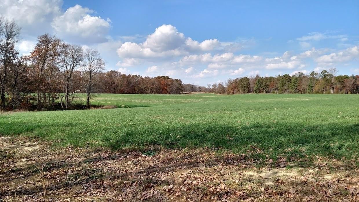 2255 Rome Road Lancing, TN 37770 - Photo 2 of 13 Gallery Image 2
