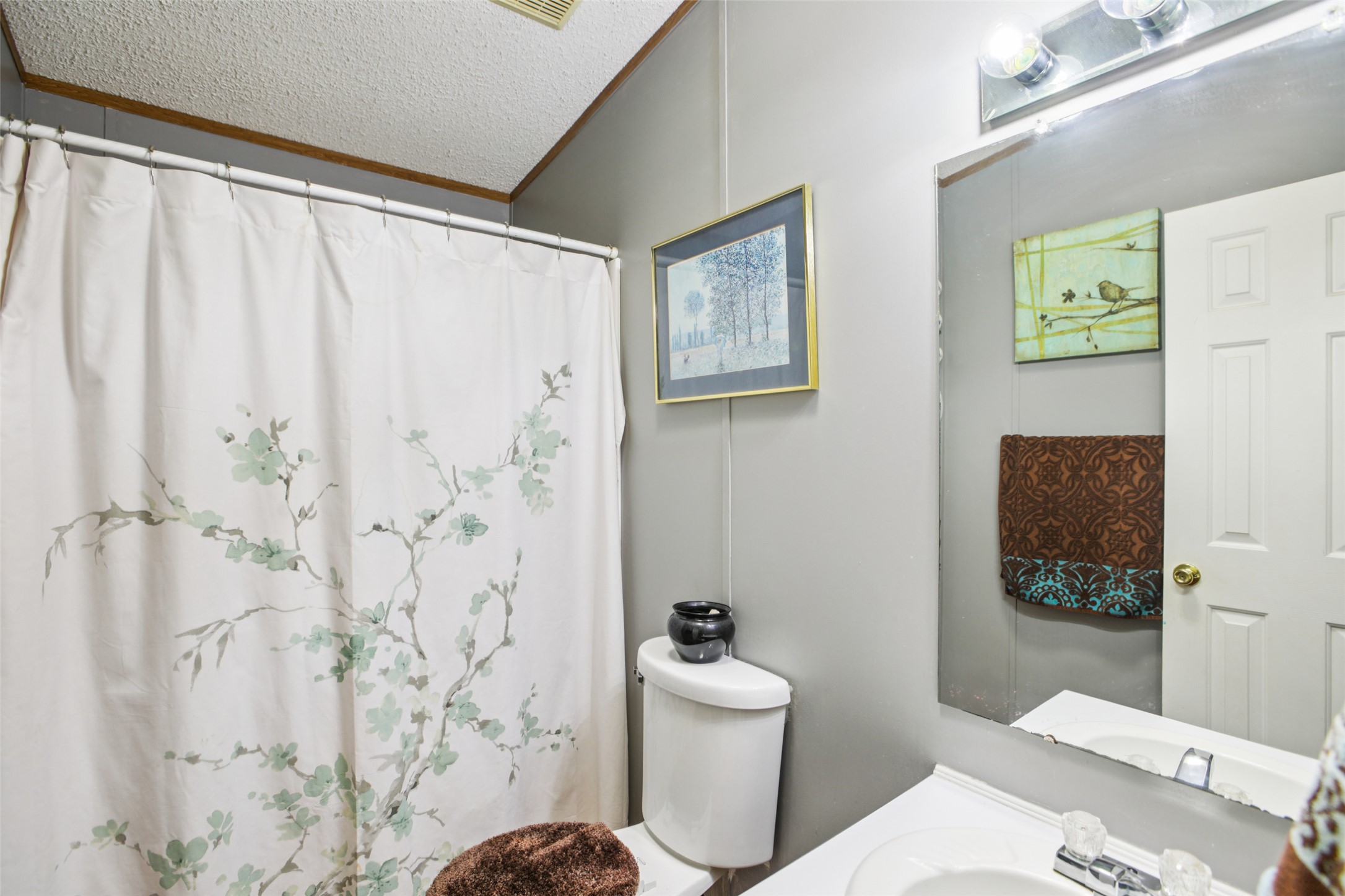372 Hofferek Road Rosanky, TX 78953 - Photo 20 of 40 Bathroom with a textured ceiling, vanity, crown molding, and curtained shower
