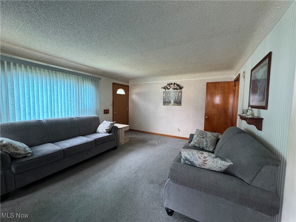5544 Hauserman Road Cleveland, OH 44130 - Photo 17 of 41 Living room with a textured ceiling and carpet