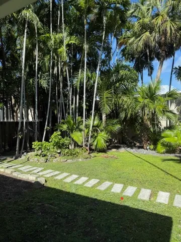 a view of a yard with plants and large trees