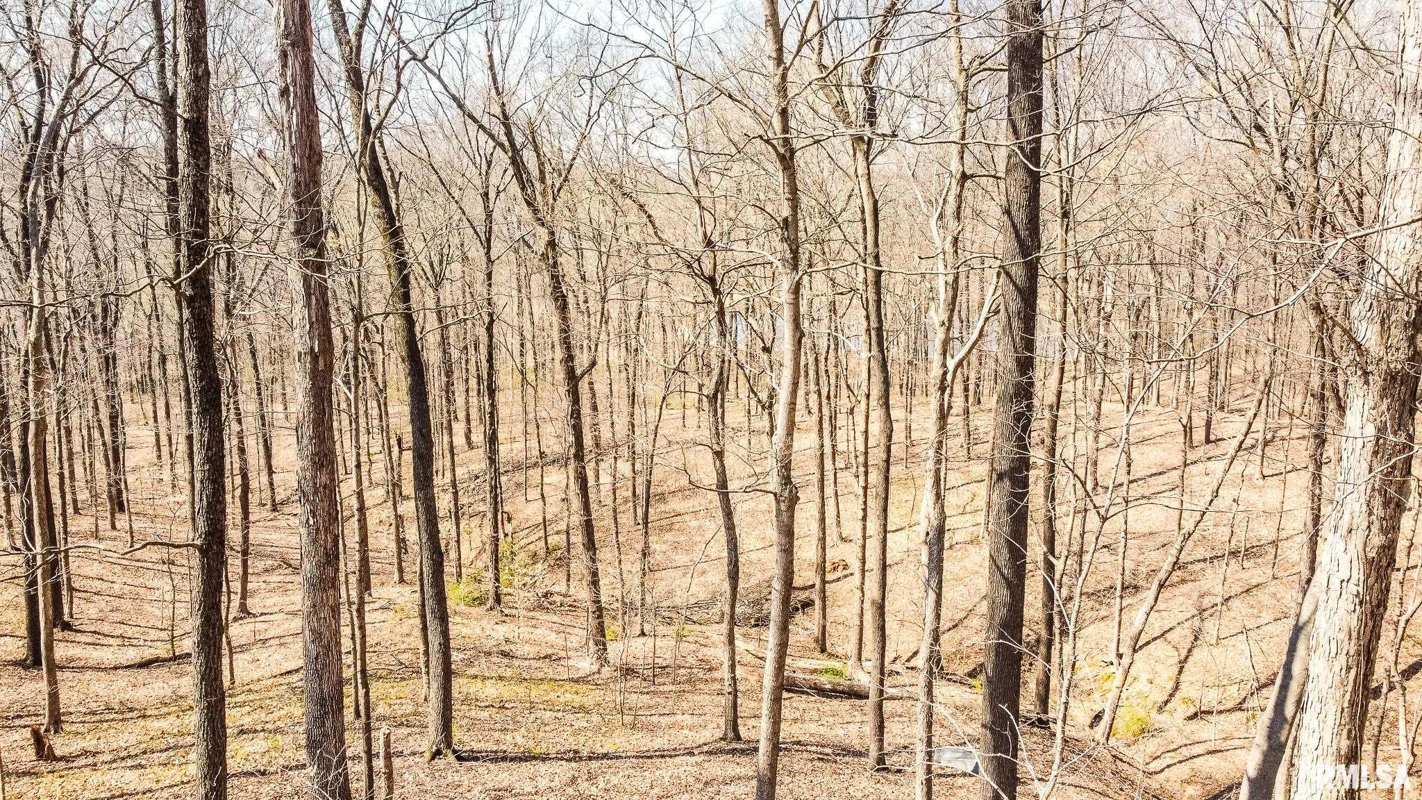 Tbd Berryville Road Jonesboro, IL 62952 - Photo 17 of 47 Gallery Image 17