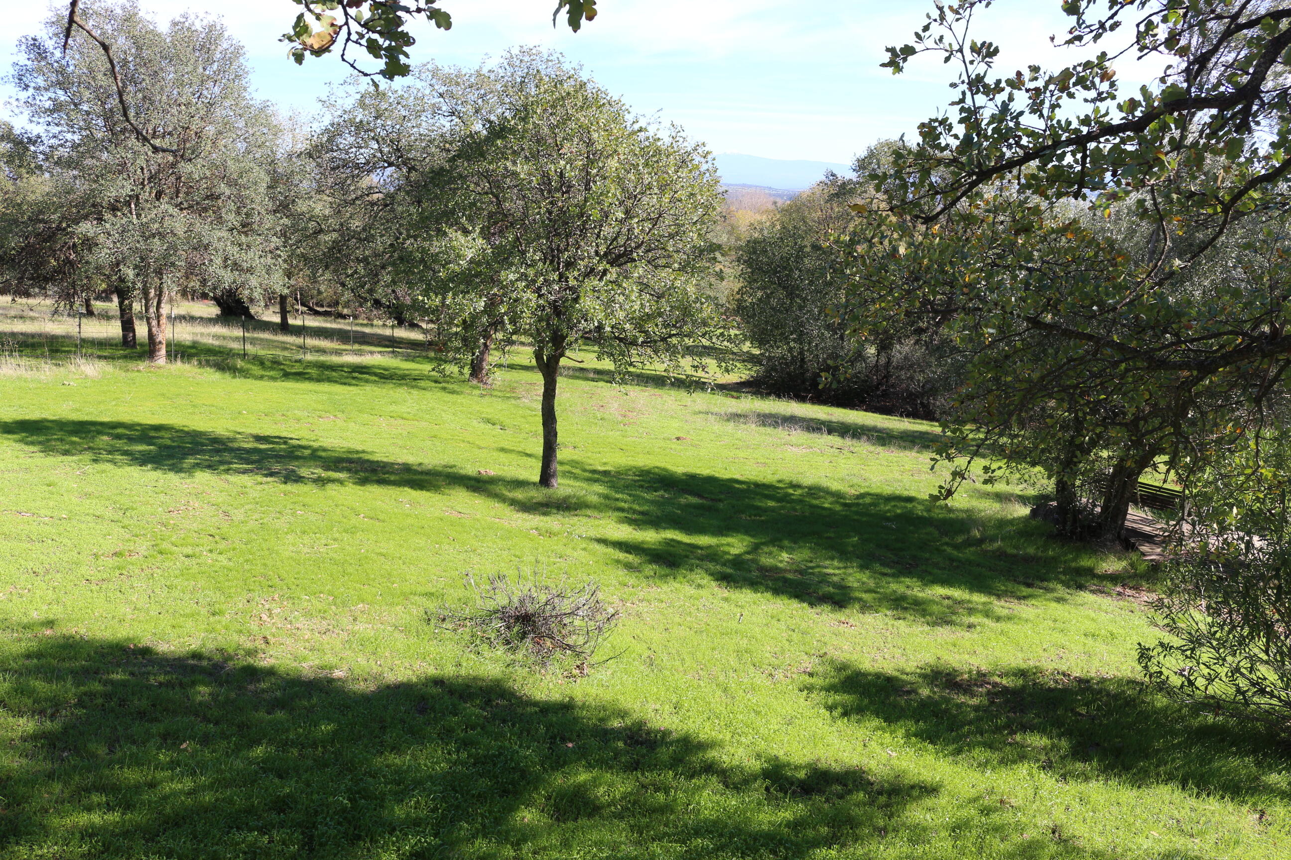21754 Barnes Ranch Road Cottonwood, CA 96022 - Photo 13 of 42 Preety, Looking of Deck