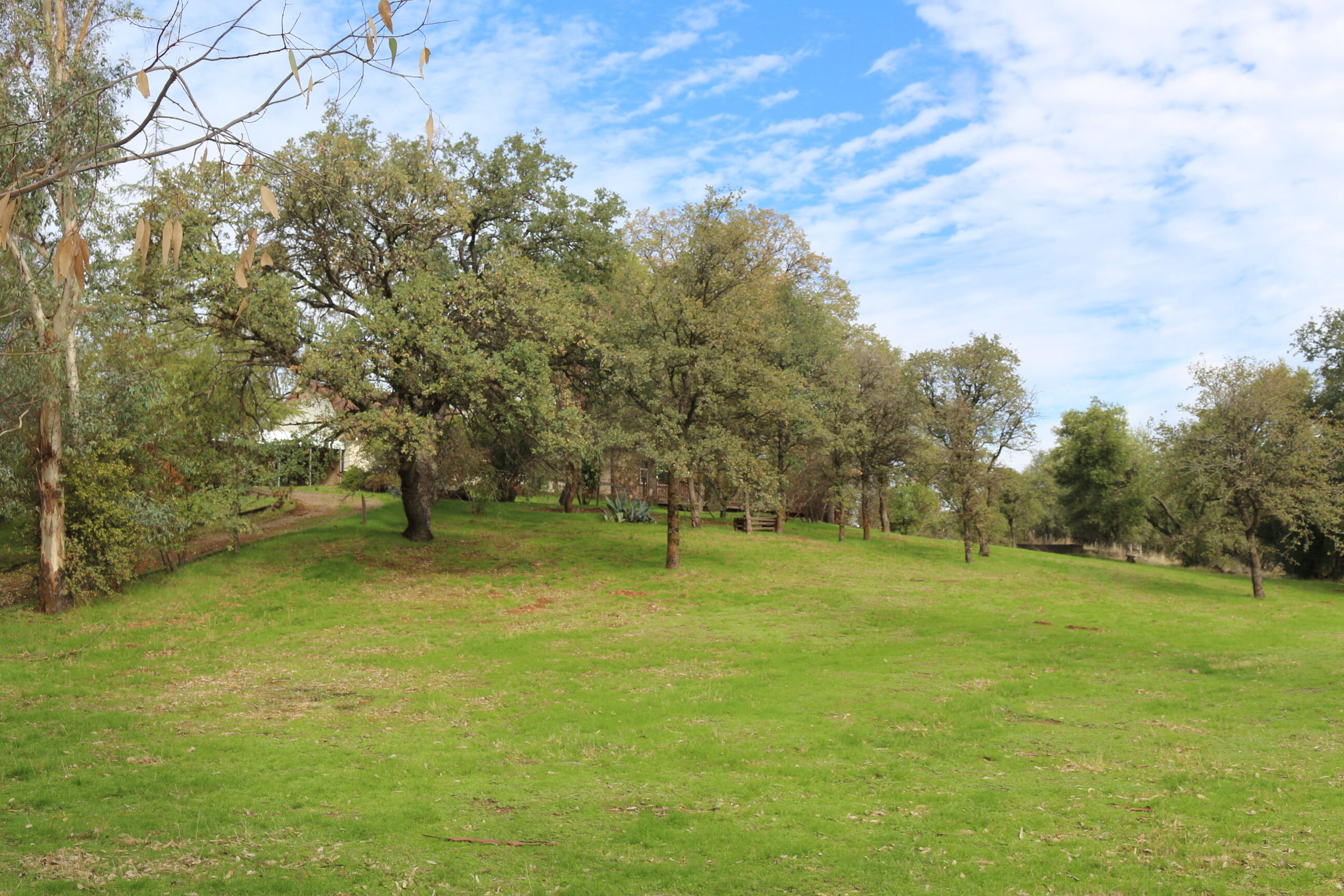 21754 Barnes Ranch Road Cottonwood, CA 96022 - Photo 16 of 42 Horses Anyone?