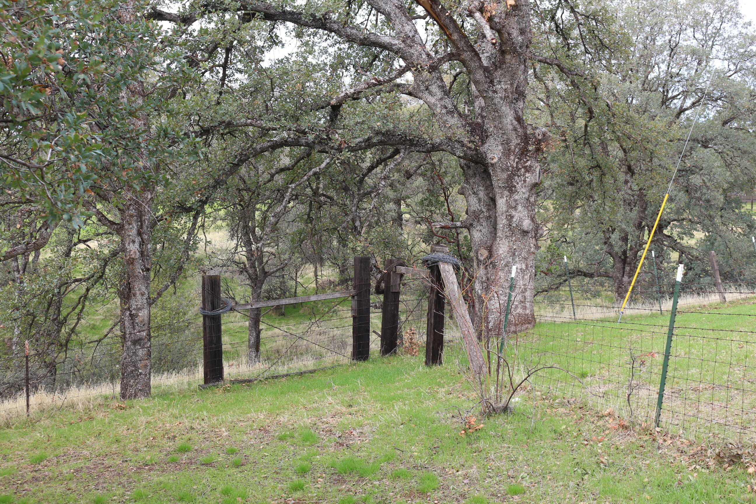 21754 Barnes Ranch Road Cottonwood, CA 96022 - Photo 18 of 42 NW Corner