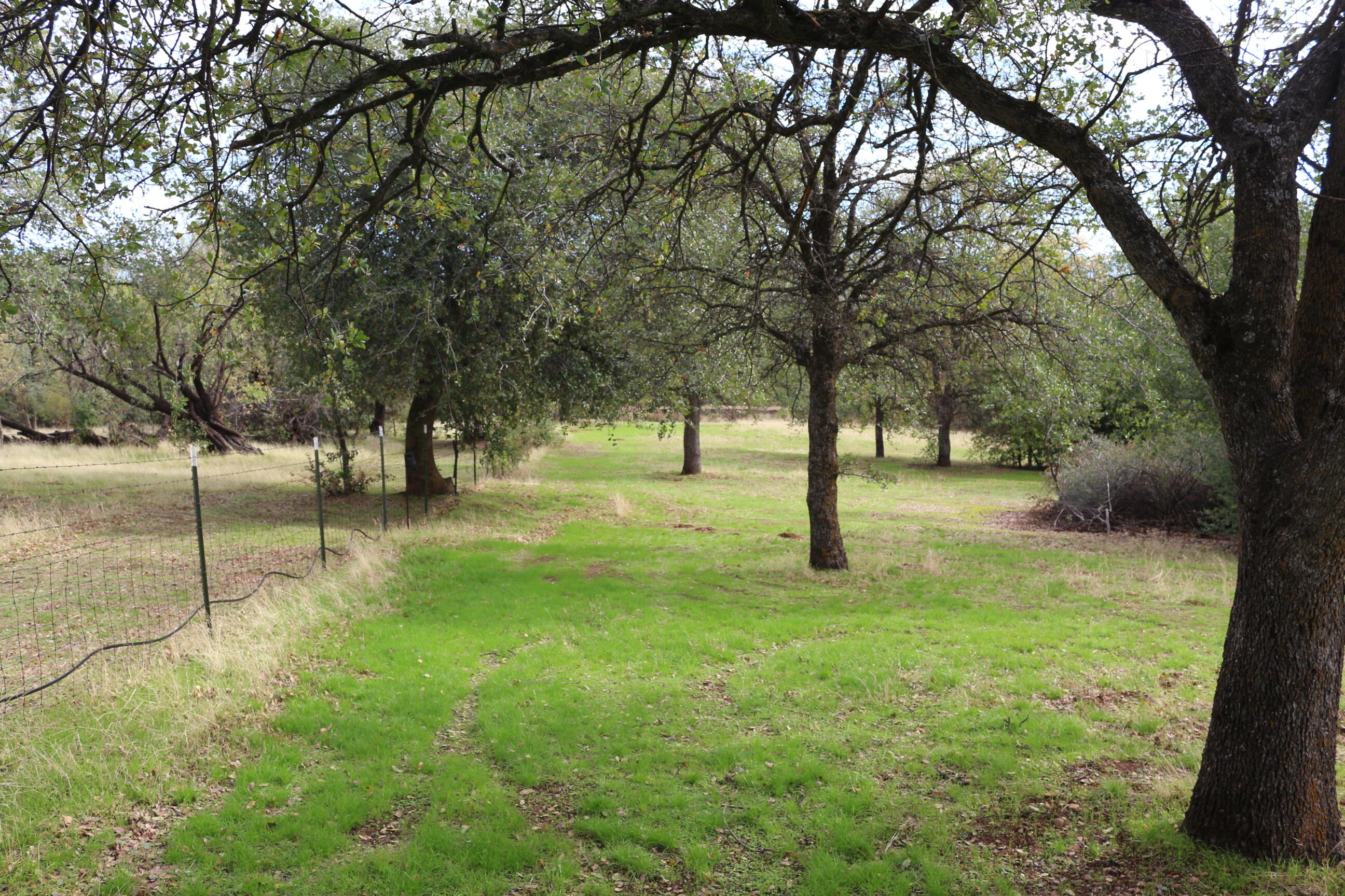 21754 Barnes Ranch Road Cottonwood, CA 96022 - Photo 20 of 42 Fully Fenced
