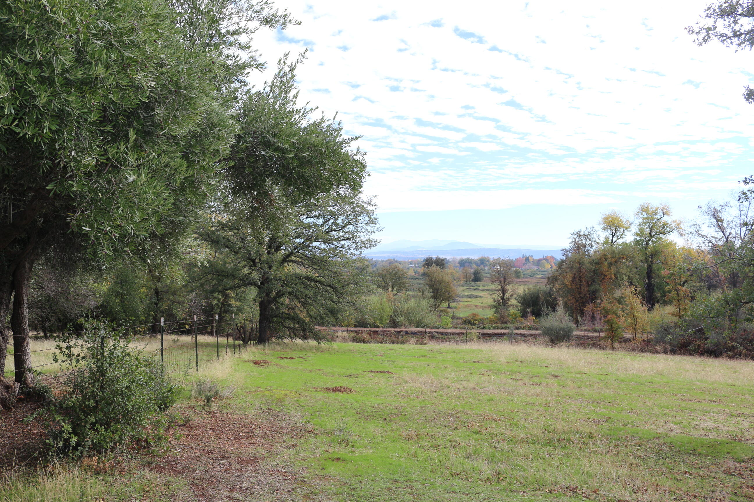 21754 Barnes Ranch Road Cottonwood, CA 96022 - Photo 21 of 42 Northerly fence line