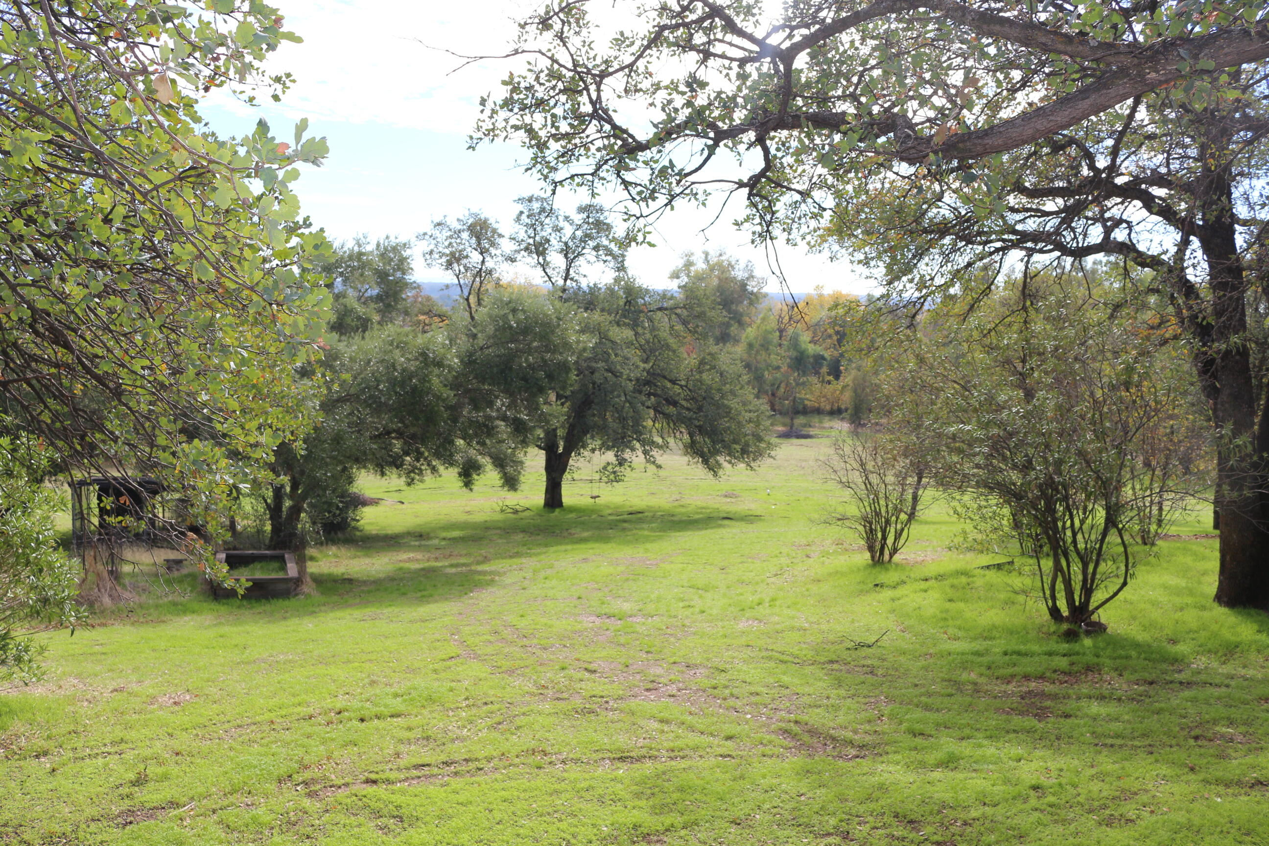 21754 Barnes Ranch Road Cottonwood, CA 96022 - Photo 24 of 42 Pretty