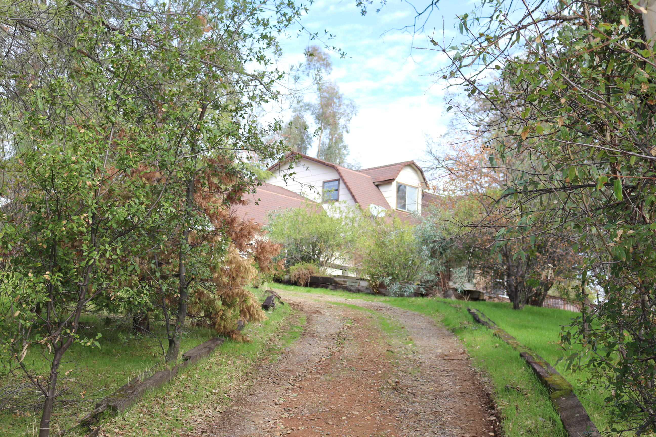 21754 Barnes Ranch Road Cottonwood, CA 96022 - Photo 4 of 42 Drive up to the Home