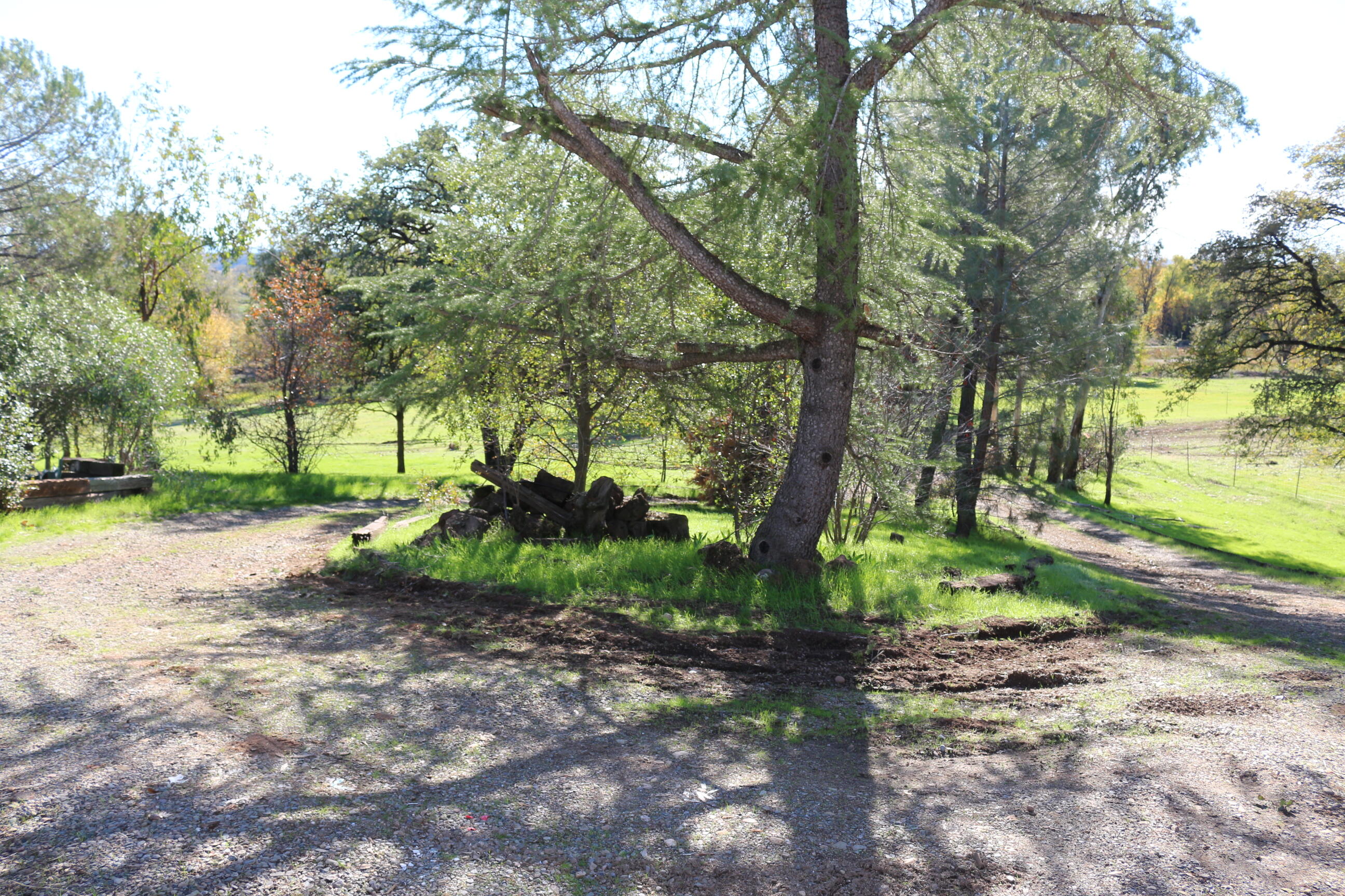 21754 Barnes Ranch Road Cottonwood, CA 96022 - Photo 42 of 42 Circular driveway