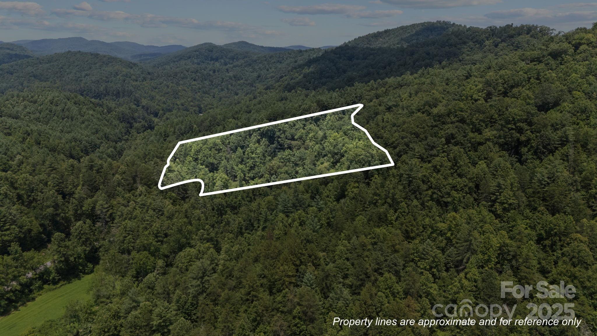 1296 Sheets Gap Road Millers Creek, NC 28651 - Photo 2 of 14