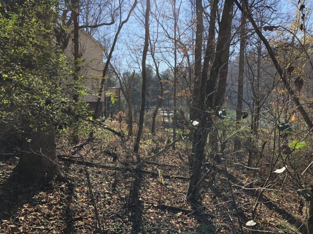 2 Pitt Road Kingsport, TN 37663 - Photo 6 of 7 Photo 7