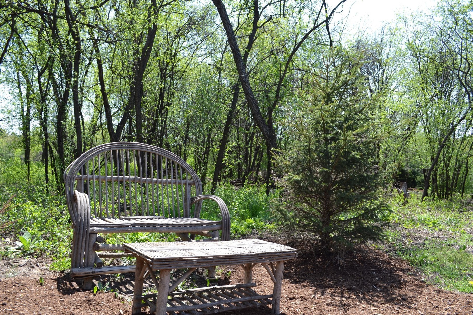 306 Ridge Road Barrington Hills, IL 60010 - Photo 35 of 38