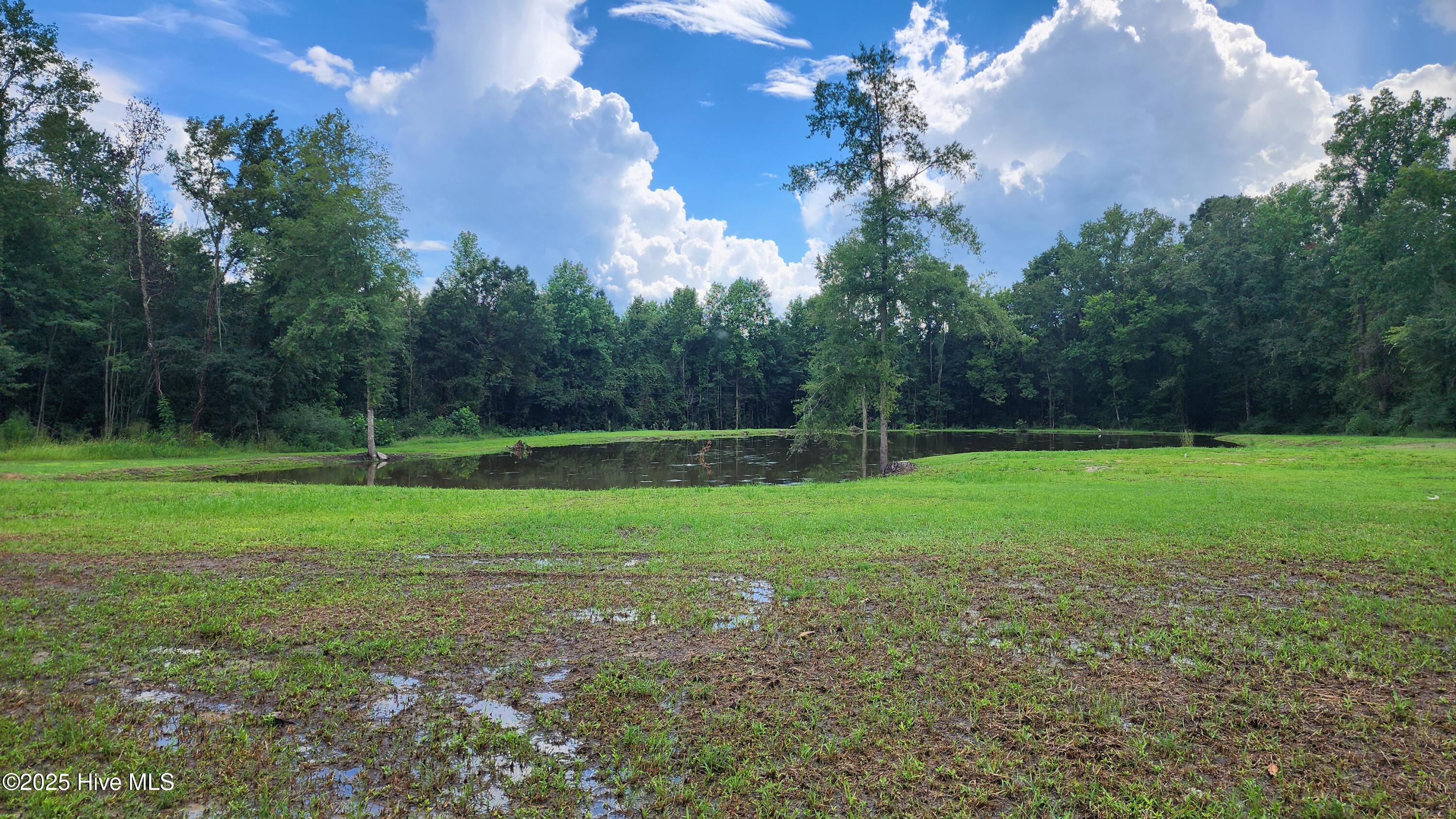 2999 Princess Ann Road Chadbourn, NC 28431 - Photo 4 of 4 20250813_153507