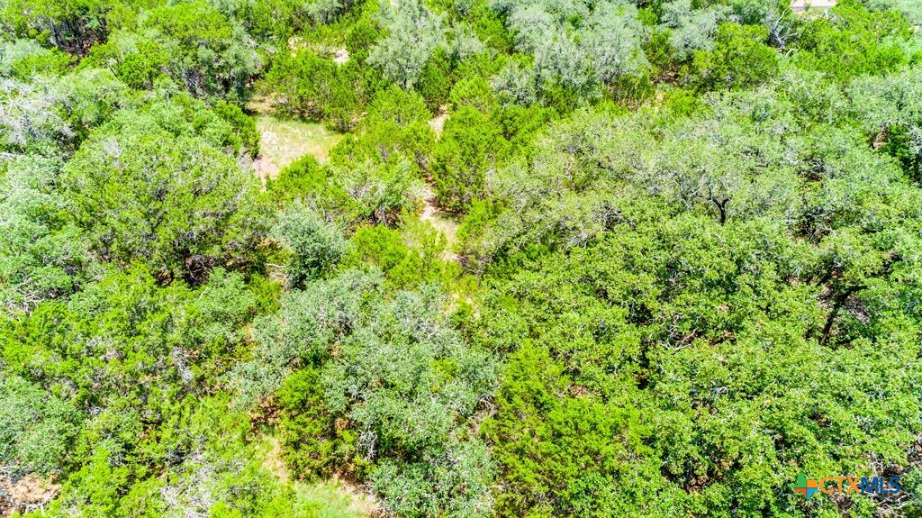 239 George Strait Canyon Lake, TX 78133 - Photo 11 of 31 a view of a lush green forest