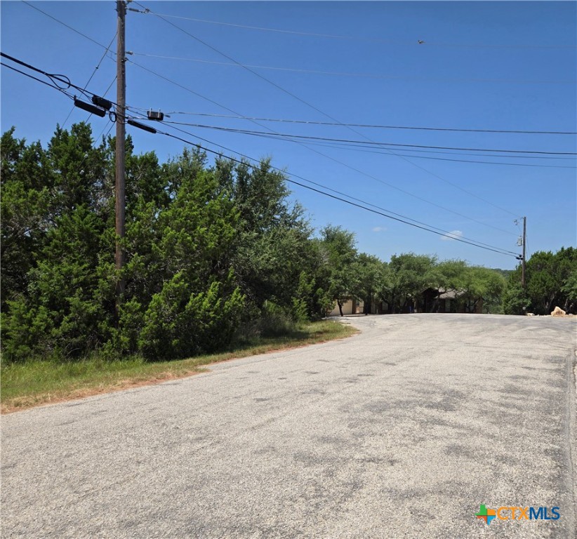 239 George Strait Canyon Lake, TX 78133 - Photo 18 of 31 a view of a dry yard