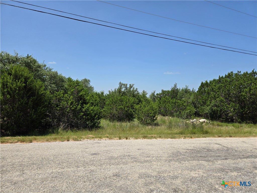 239 George Strait Canyon Lake, TX 78133 - Photo 20 of 31 a view of a yard