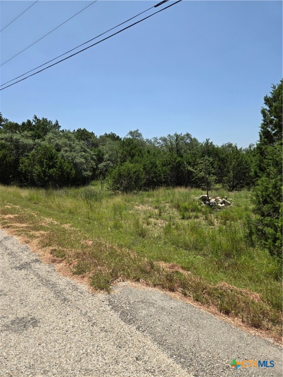 239 George Strait Canyon Lake, TX 78133 - Photo 27 of 31 a view of a lake with a mountain in the background
