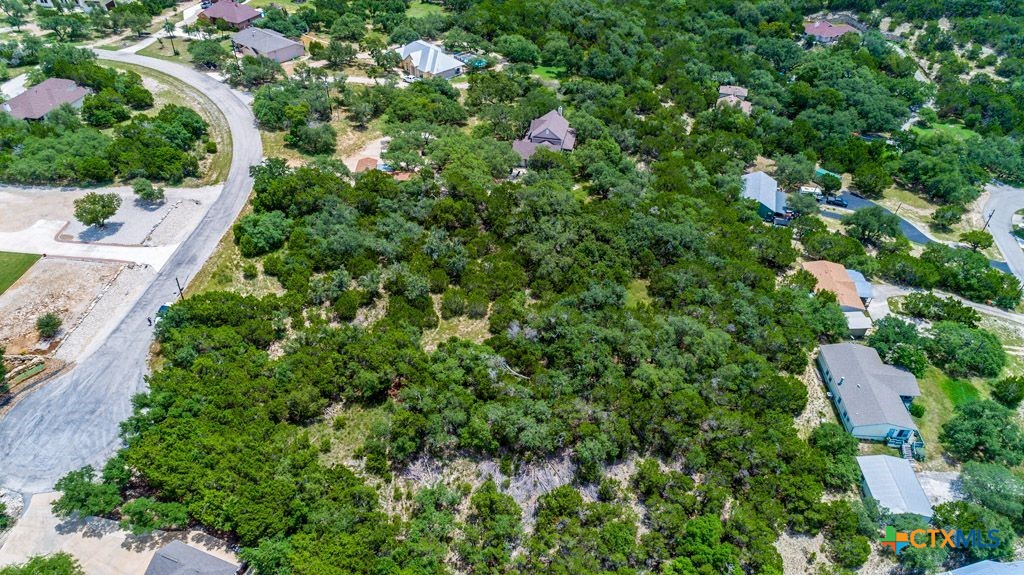 239 George Strait Canyon Lake, TX 78133 - Photo 5 of 31 an aerial view of residential house with outdoor space and trees all around
