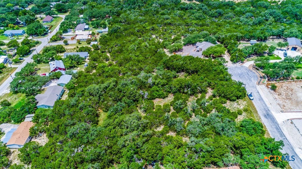 239 George Strait Canyon Lake, TX 78133 - Photo 6 of 31 an aerial view of residential house with outdoor space and trees all around