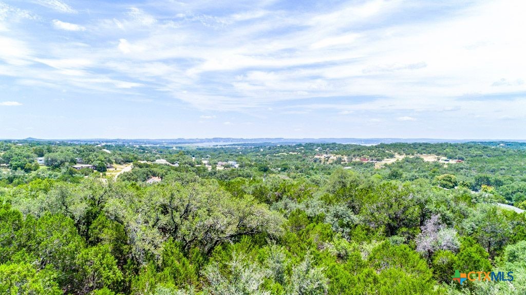 239 George Strait Canyon Lake, TX 78133 - Photo 9 of 31 a view of a green field with lots of bushes