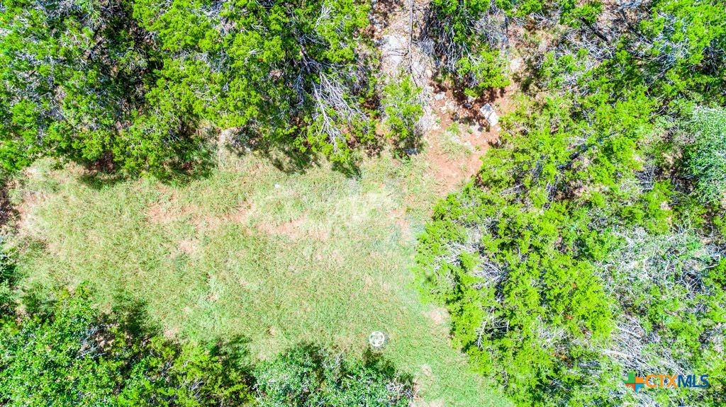 239 George Strait Canyon Lake, TX 78133 - Photo 10 of 31 a view of a lush green forest