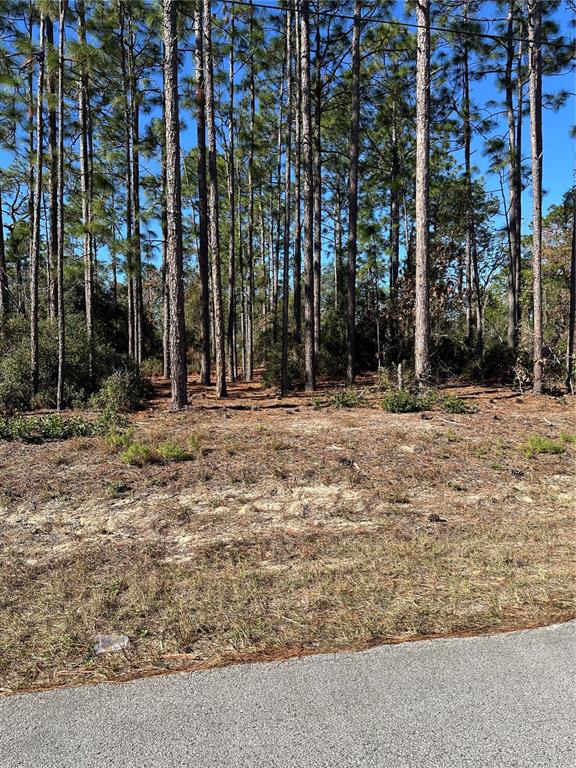 Restricted Address Dunnellon, FL 34431 - Photo 1 of 13