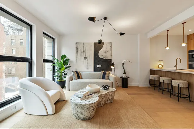 a living room with furniture a dining table and a potted plant