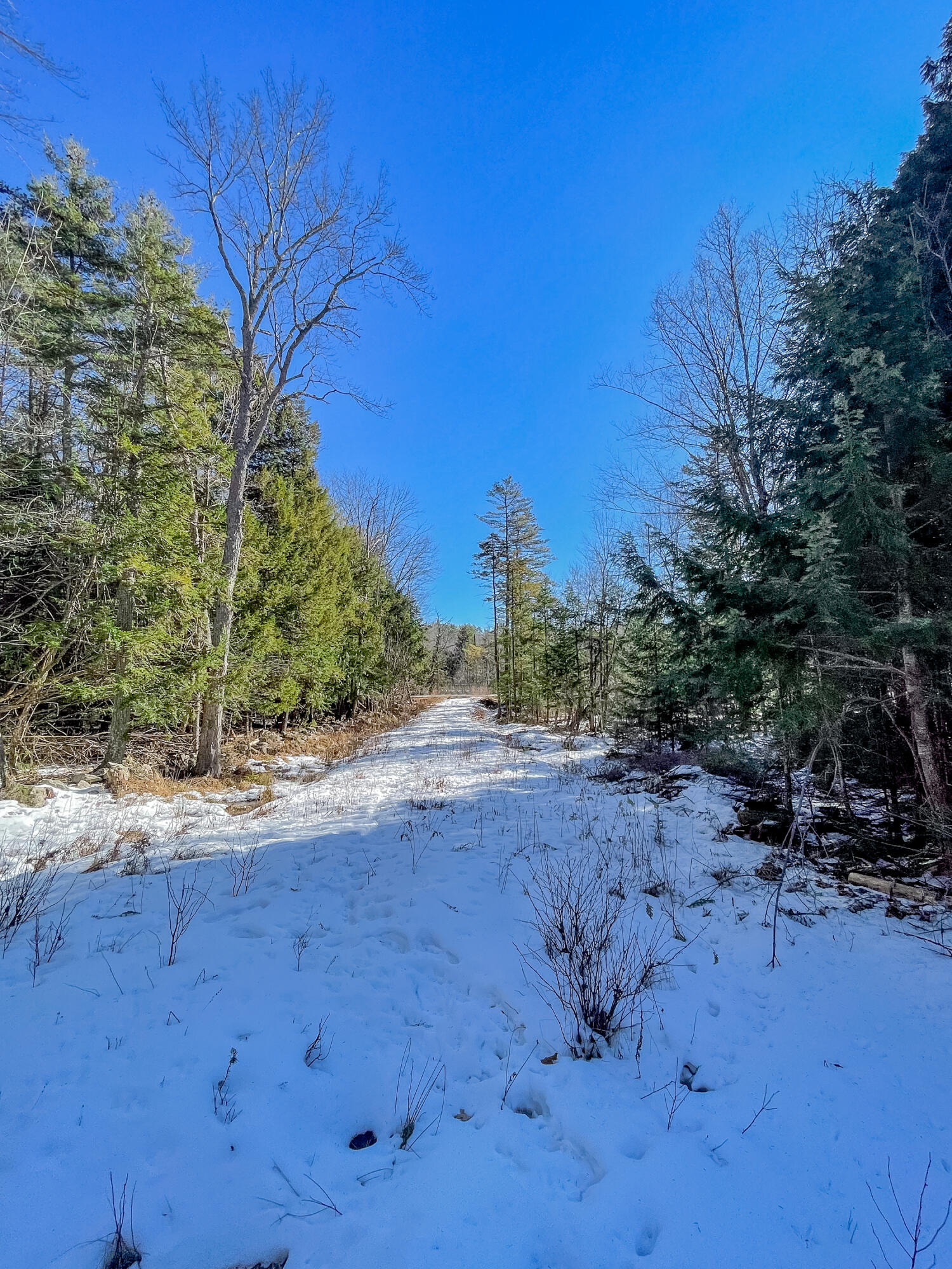 Lot #2 Augusta Road Bowdoin, ME 04287 - Photo 20 of 24 Lot #2B Augusta Road Bowdoin 020