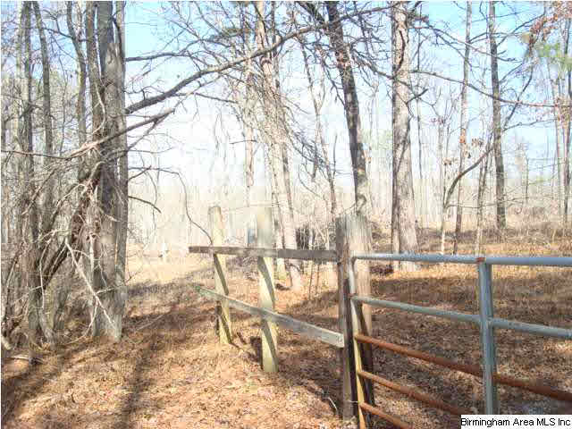 1180 Thompson Road, Unit 39 ACRES Ohatchee, AL 36271 - Photo 16 of 16