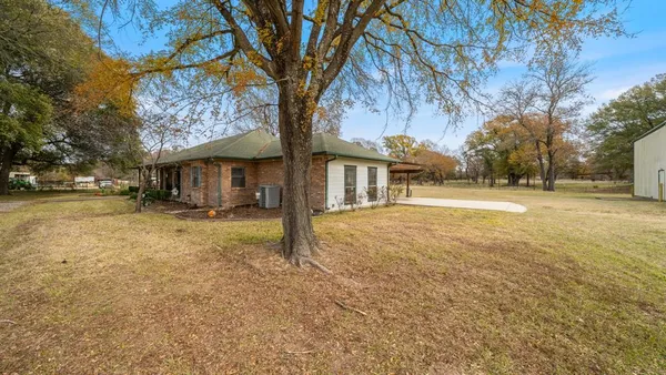 a tree in front of yellow house with a yard