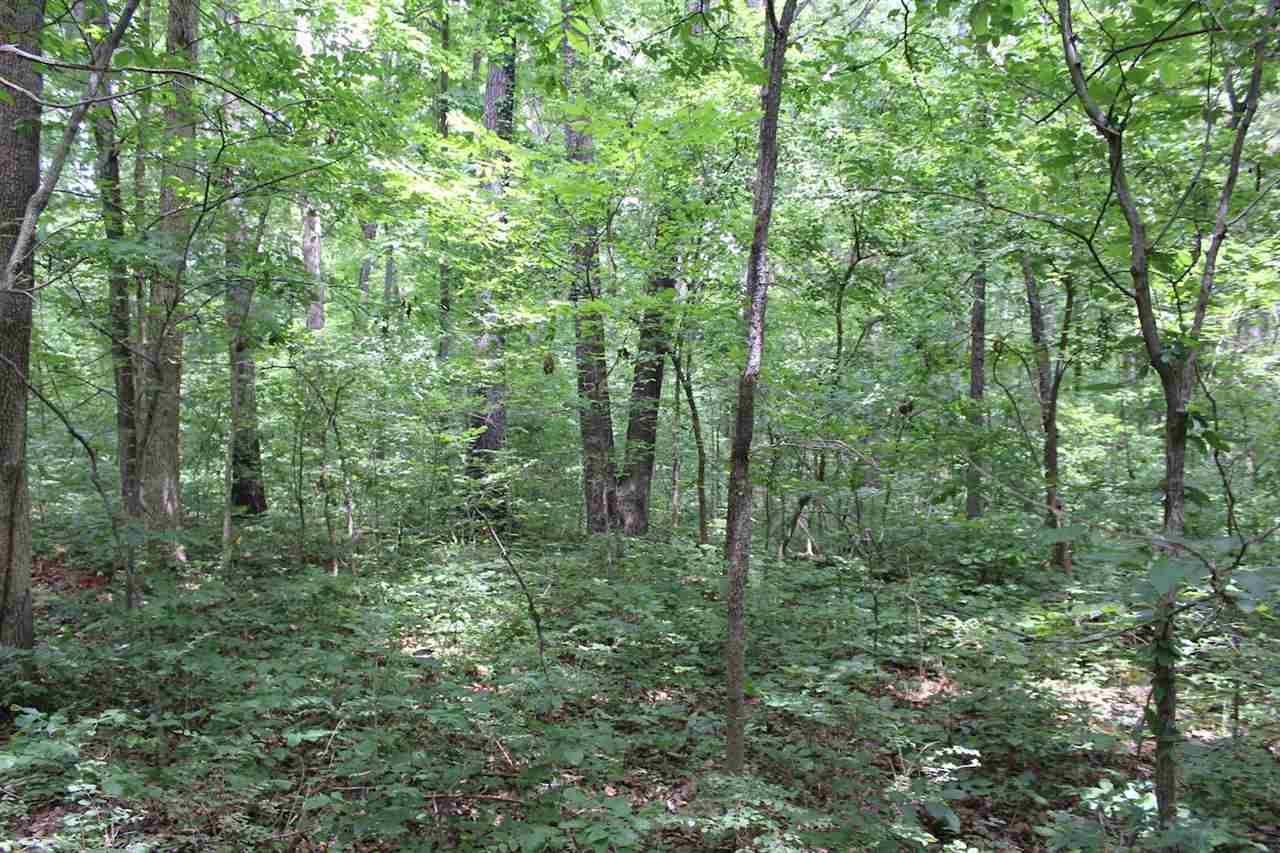 0 South Hewitt Road Bowling Green, KY 42101 - Photo 4 of 10 Gallery Image 4