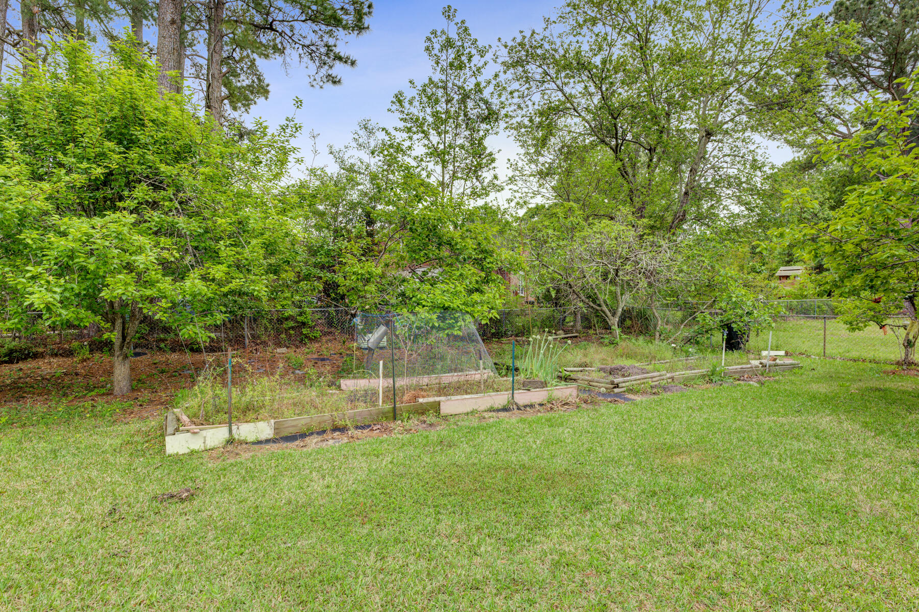 715 Cluster Pines Road Ladson, SC 29456 - Photo 32 of 36 715 Cluster Pines Rd, Ladson SC (32)