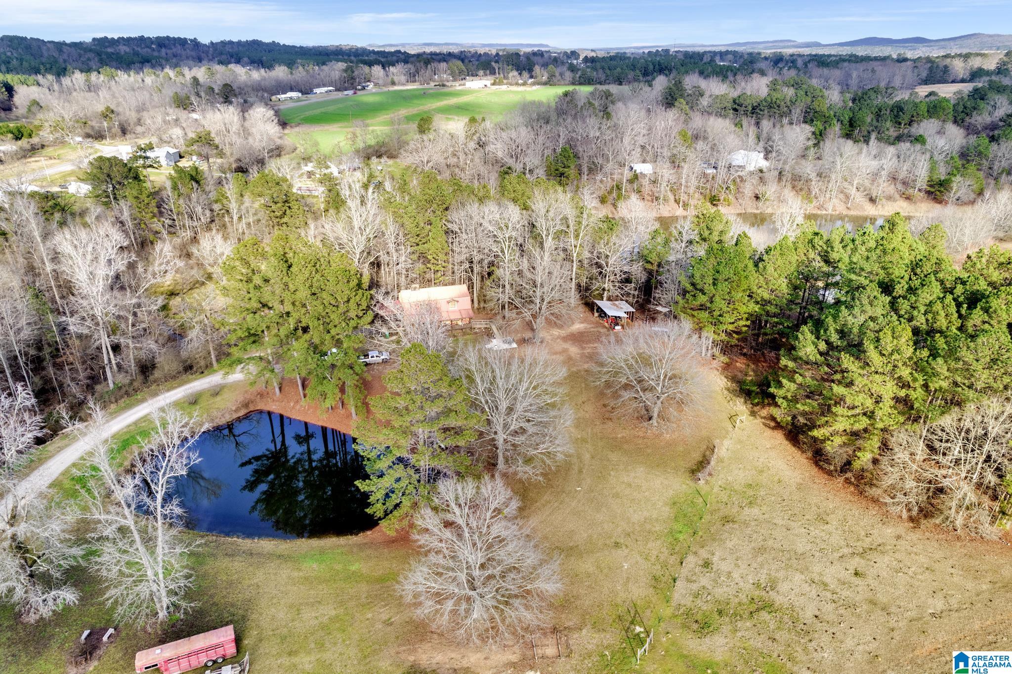 185 Reed Lane Locust Fork, AL 35097 - Photo 10 of 30