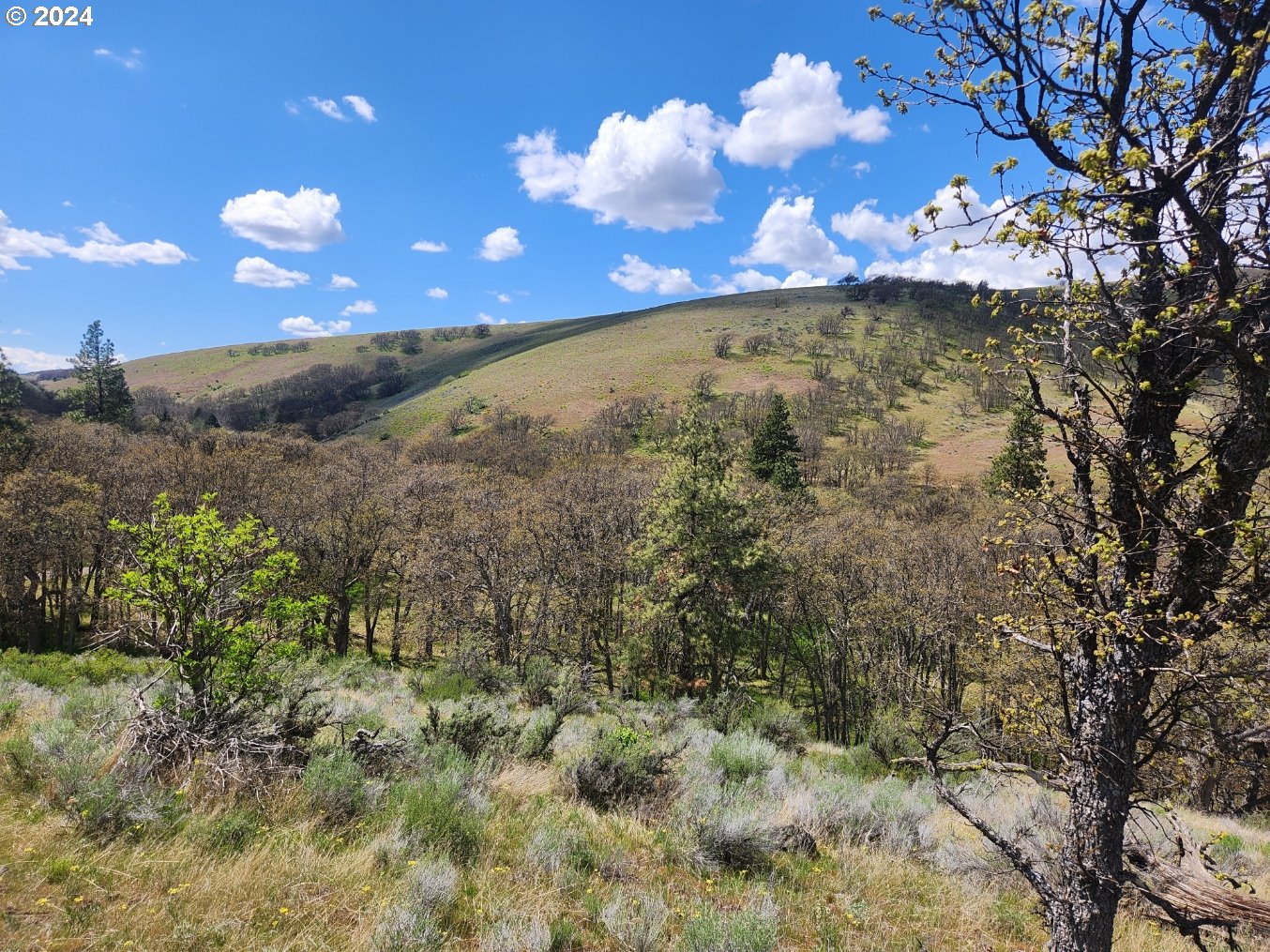 Oak Flat Road Goldendale, WA 98620 - Photo 1 of 6 Gallery Image 1