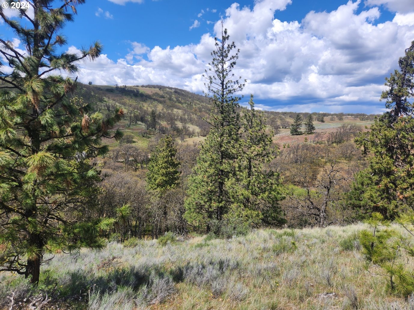 Oak Flat Road Goldendale, WA 98620 - Photo 2 of 6 Gallery Image 2