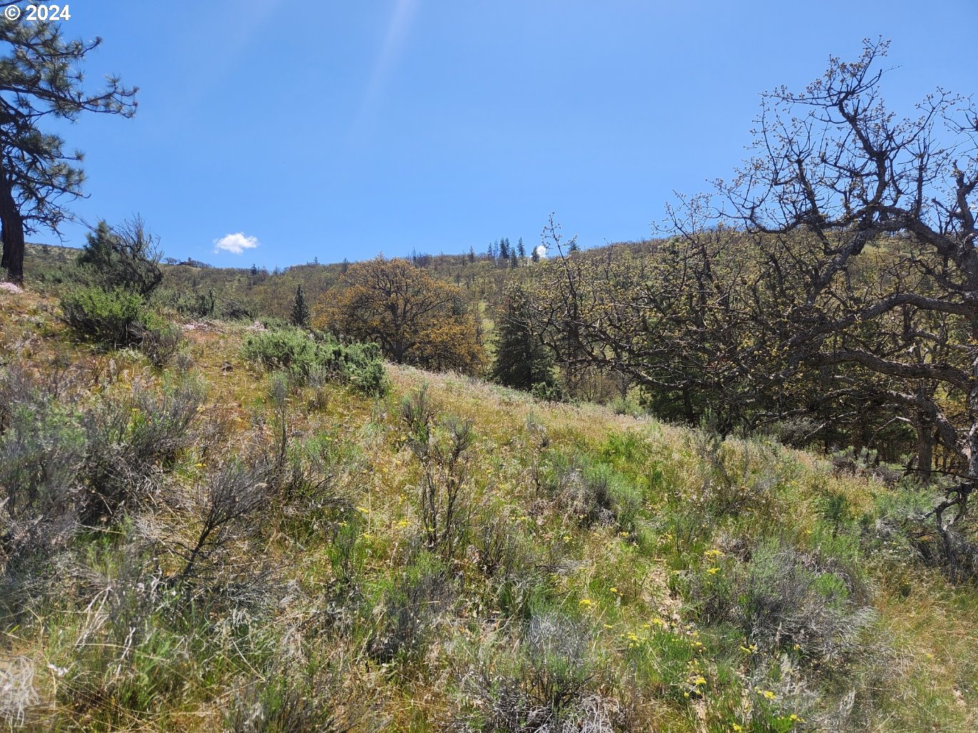 Oak Flat Road Goldendale, WA 98620 - Photo 3 of 6 Gallery Image 3