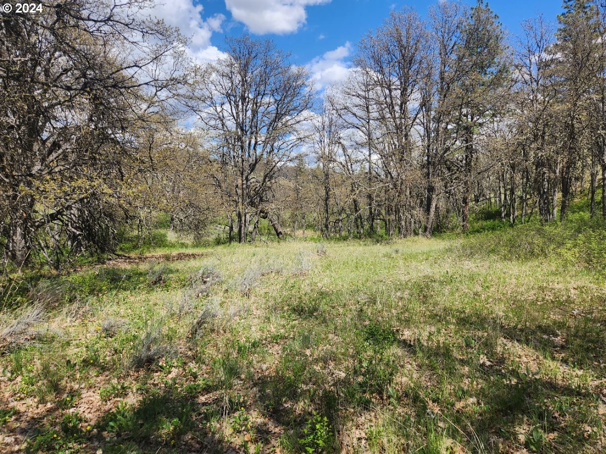 Oak Flat Road Goldendale, WA 98620 - Photo 5 of 6 Gallery Image 5