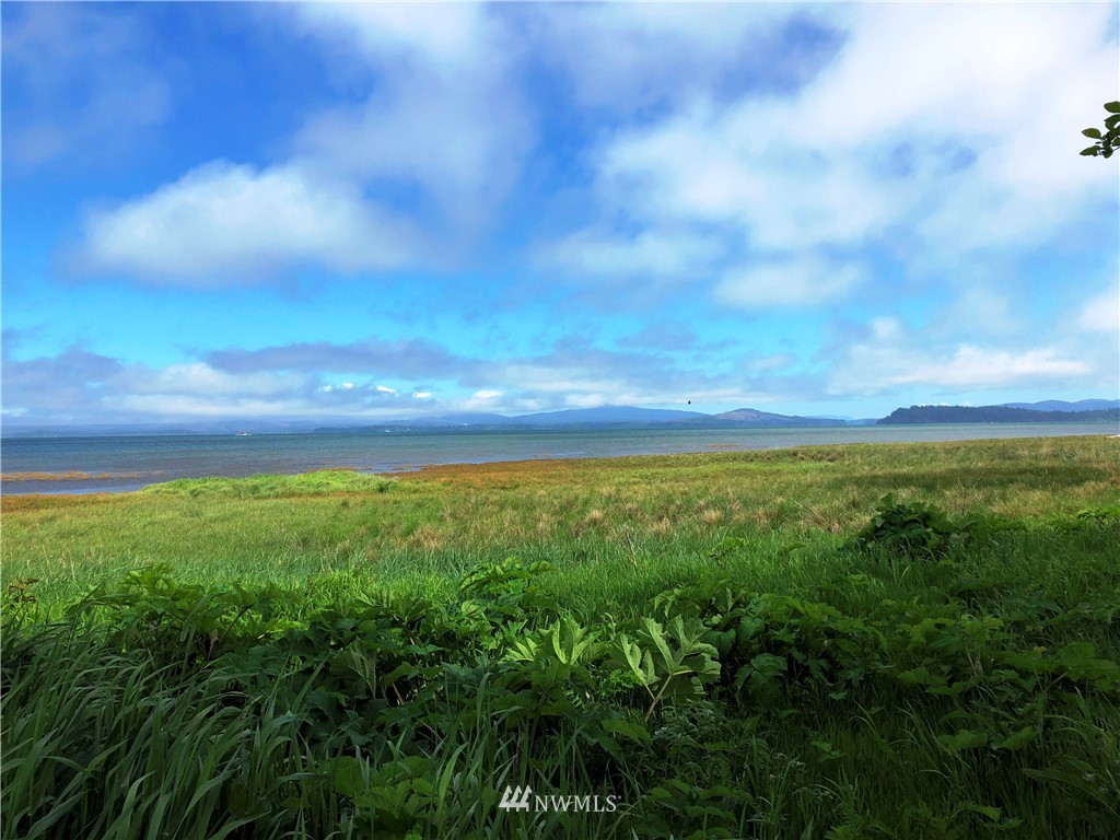 32602 Sandridge Road Oysterville, WA 98641 - Photo 1 of 28 Gallery Image 1