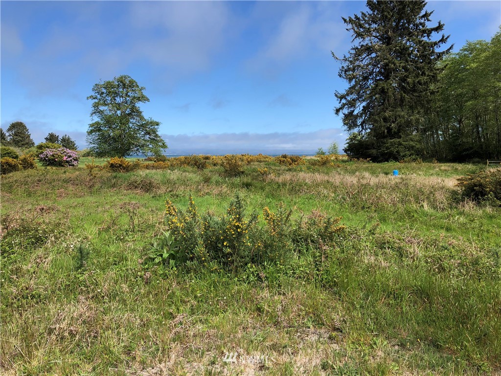 32602 Sandridge Road Oysterville, WA 98641 - Photo 16 of 28 Gallery Image 16