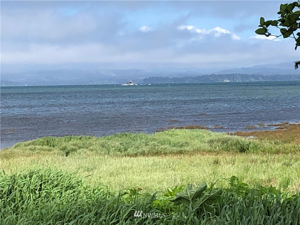 32602 Sandridge Road Oysterville, WA 98641 - Photo 18 of 28 Gallery Image 18
