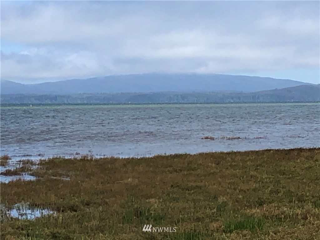 32602 Sandridge Road Oysterville, WA 98641 - Photo 21 of 28 Gallery Image 21