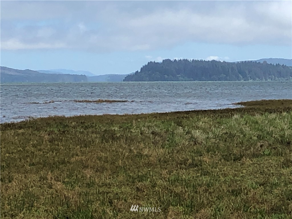 32602 Sandridge Road Oysterville, WA 98641 - Photo 23 of 28 Gallery Image 23
