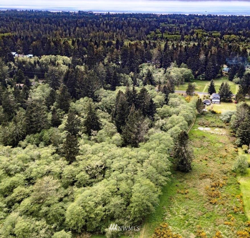 32602 Sandridge Road Oysterville, WA 98641 - Photo 28 of 28 Gallery Image 28