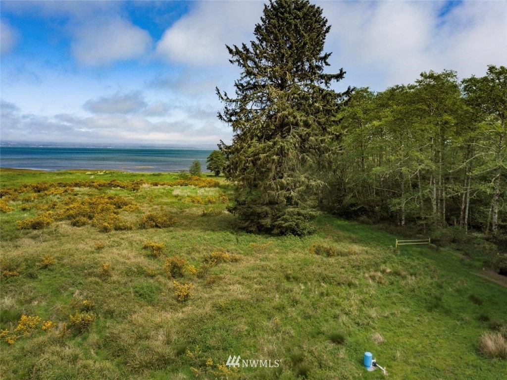 32602 Sandridge Road Oysterville, WA 98641 - Photo 4 of 28 Gallery Image 4