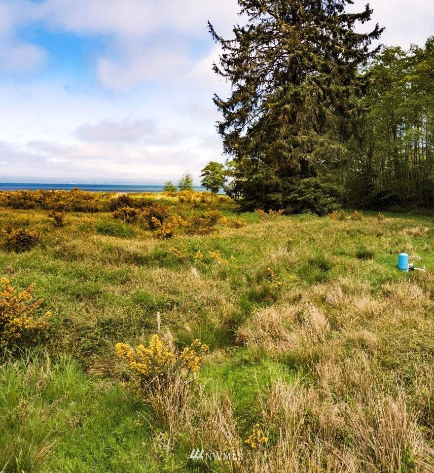 32602 Sandridge Road Oysterville, WA 98641 - Photo 5 of 28 Gallery Image 5