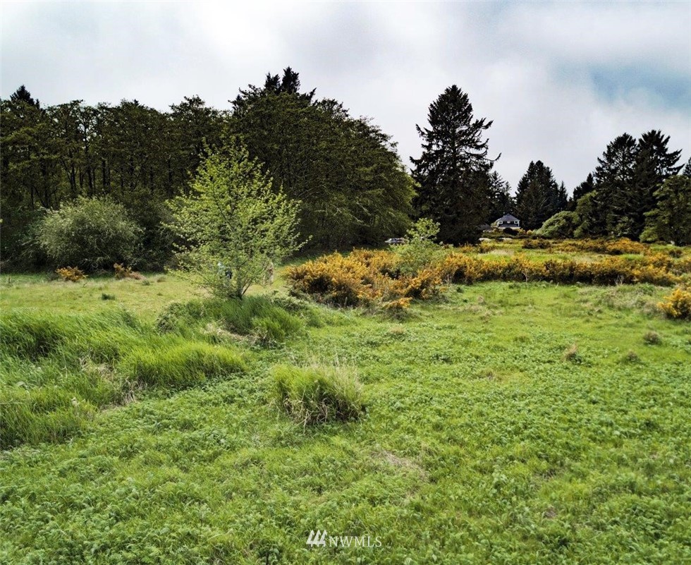 32602 Sandridge Road Oysterville, WA 98641 - Photo 7 of 28 Gallery Image 7