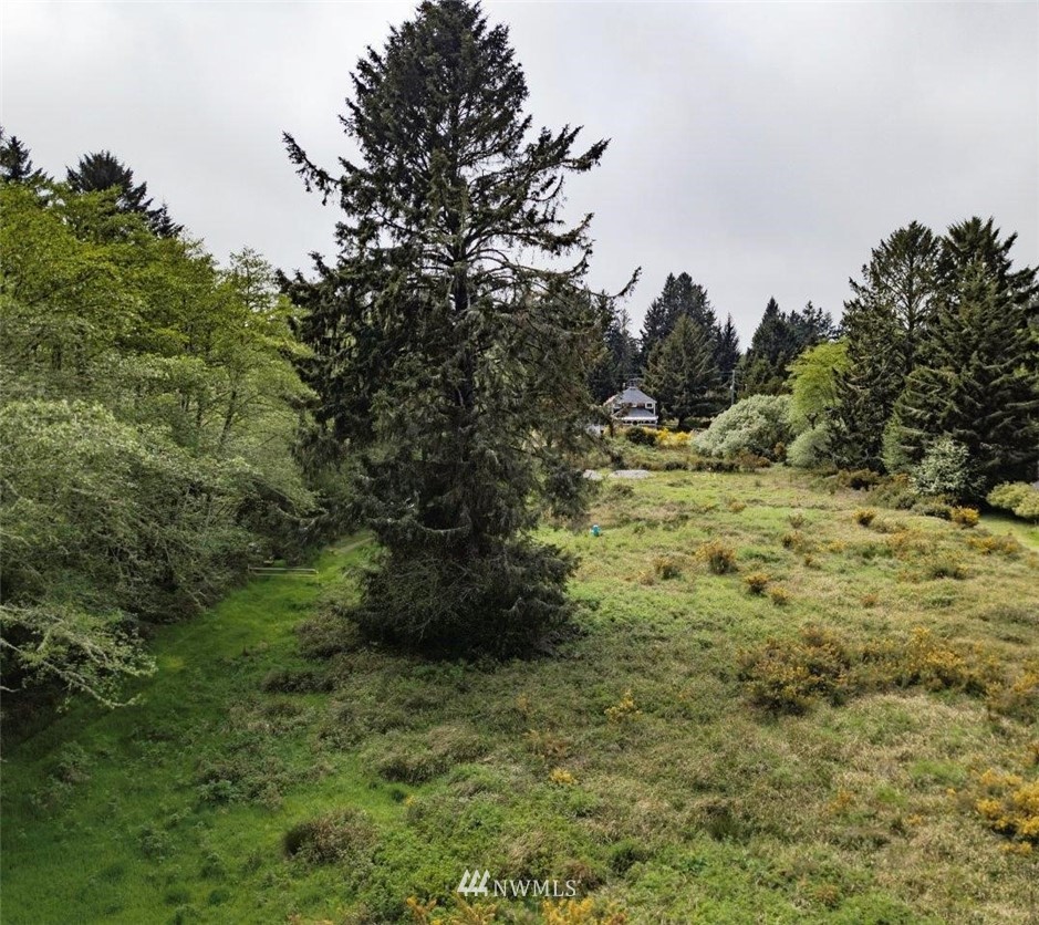 32602 Sandridge Road Oysterville, WA 98641 - Photo 8 of 28 Gallery Image 8