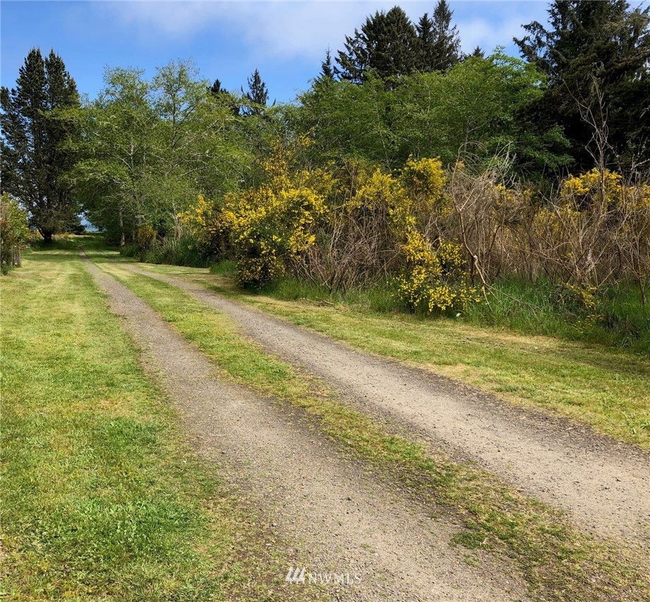32602 Sandridge Road Oysterville, WA 98641 - Photo 9 of 28 Gallery Image 9