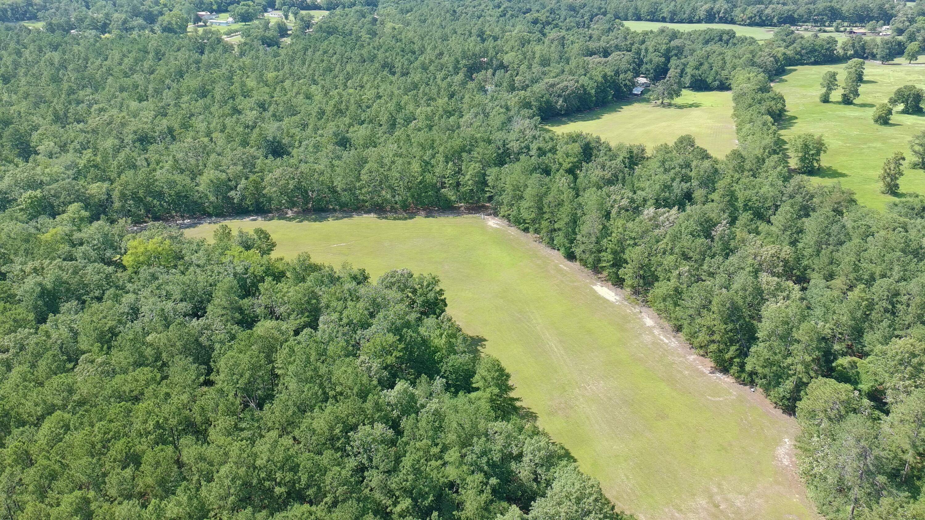 41-acres Whiskey Road Aiken, SC 29803 - Photo 37 of 44