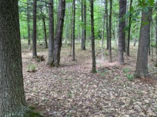 0 Cramm Road Parsonsfield, ME 04047 - Photo 1 of 17 IMG950393